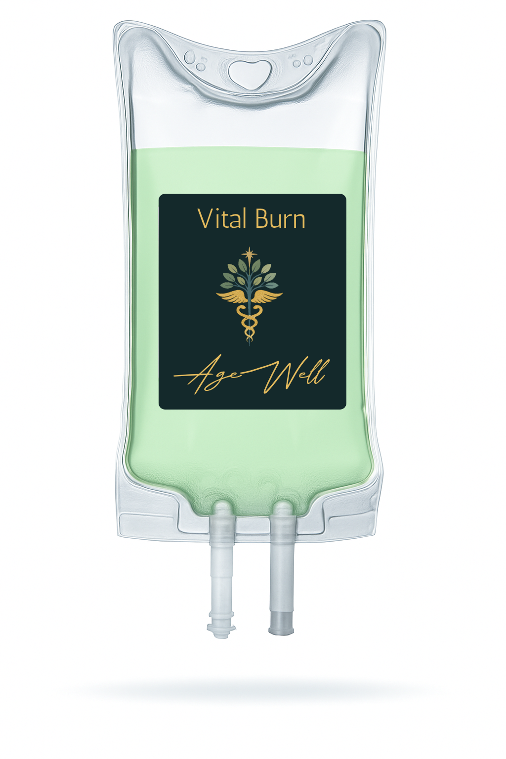 Vital Burn IV bag